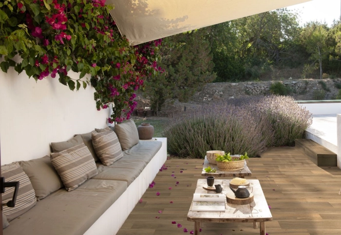 Alma Honey Ant. 19,41x97,8x1