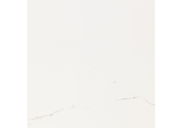 Artic Gloss 59,6X59,6