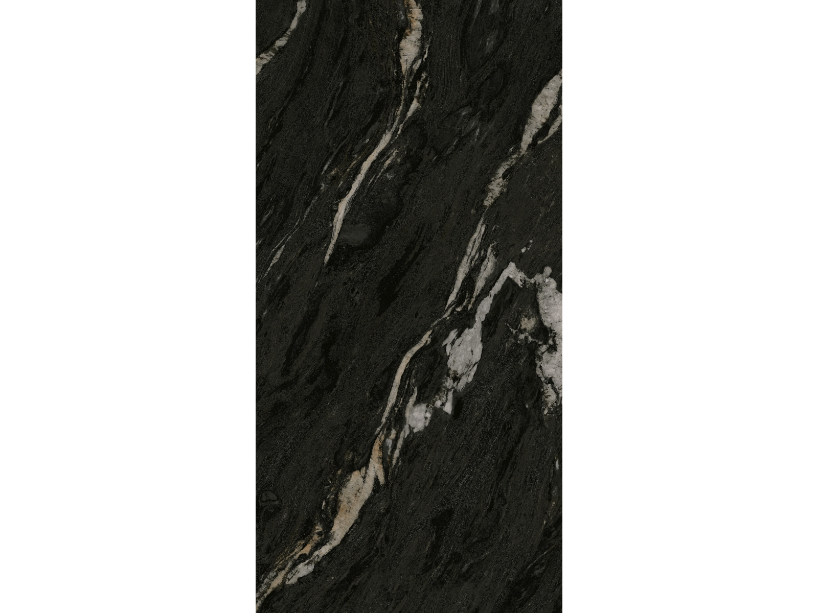 Aster-R Polished 59,3X119,3