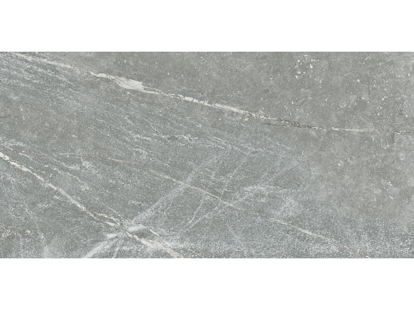 Betilo-R Grey 60X120