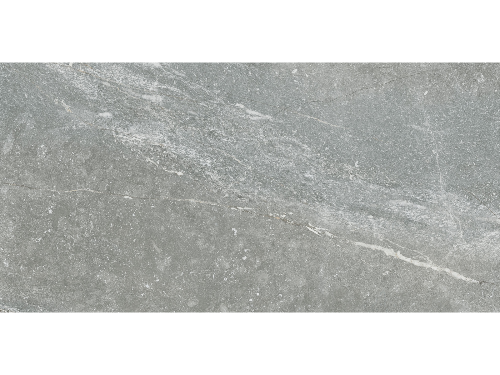 Betilo-R Grey 60X120