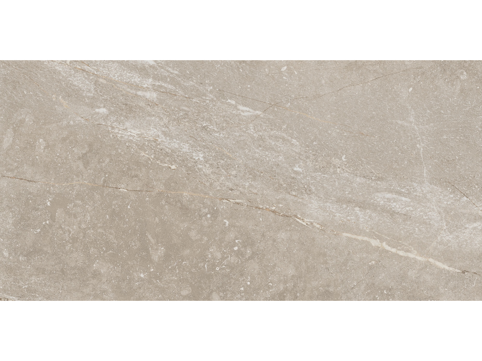Betilo-R Taupe 60X120