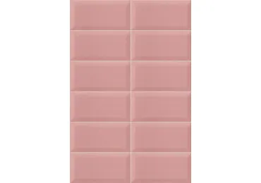 Bissel Pink 10x20