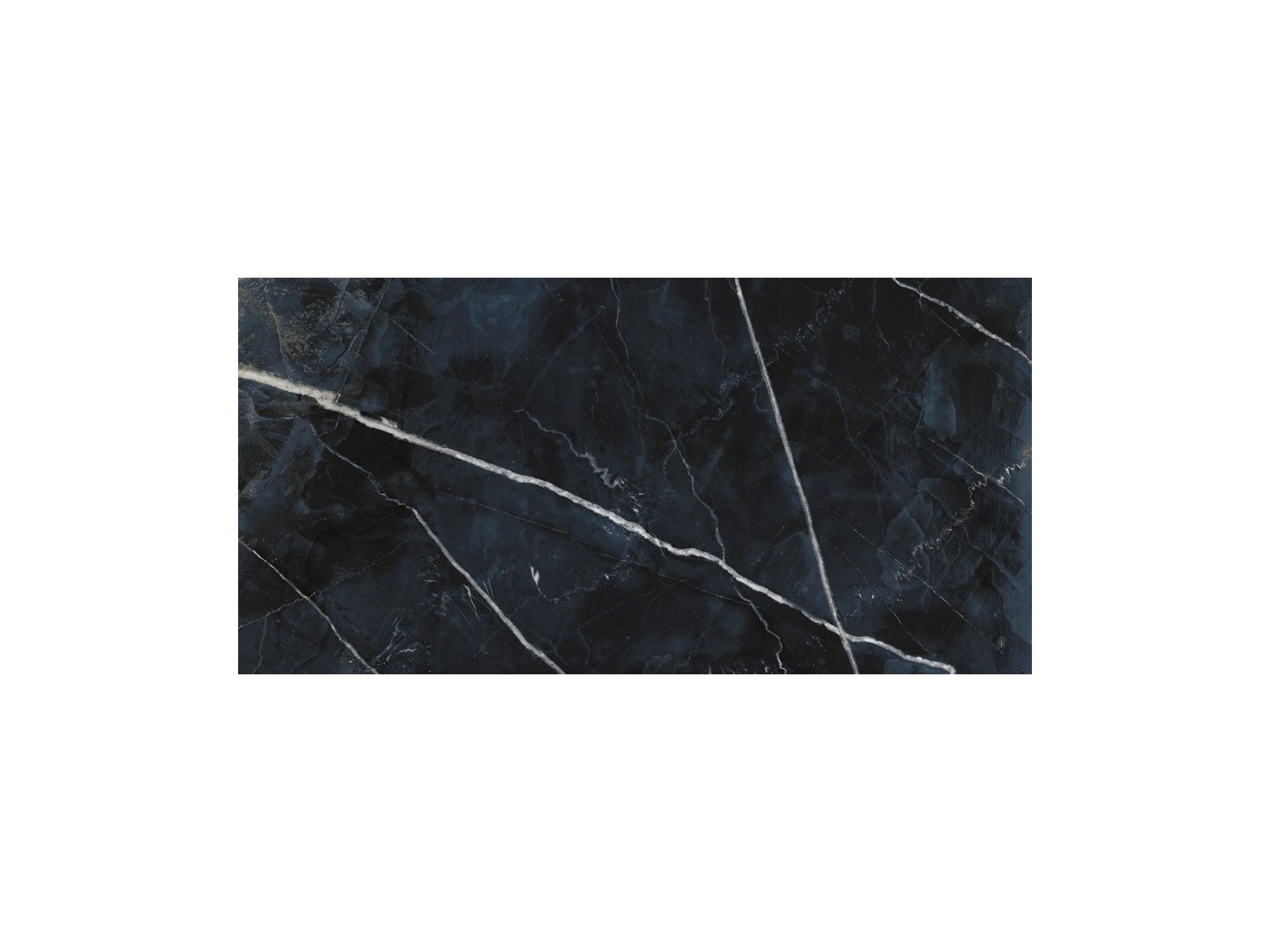 Black Calacatta 60X120