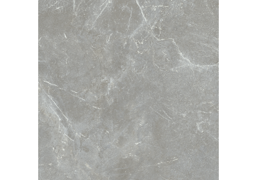 Blade Gris  100X100