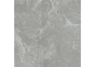 Blade Gris  100X100