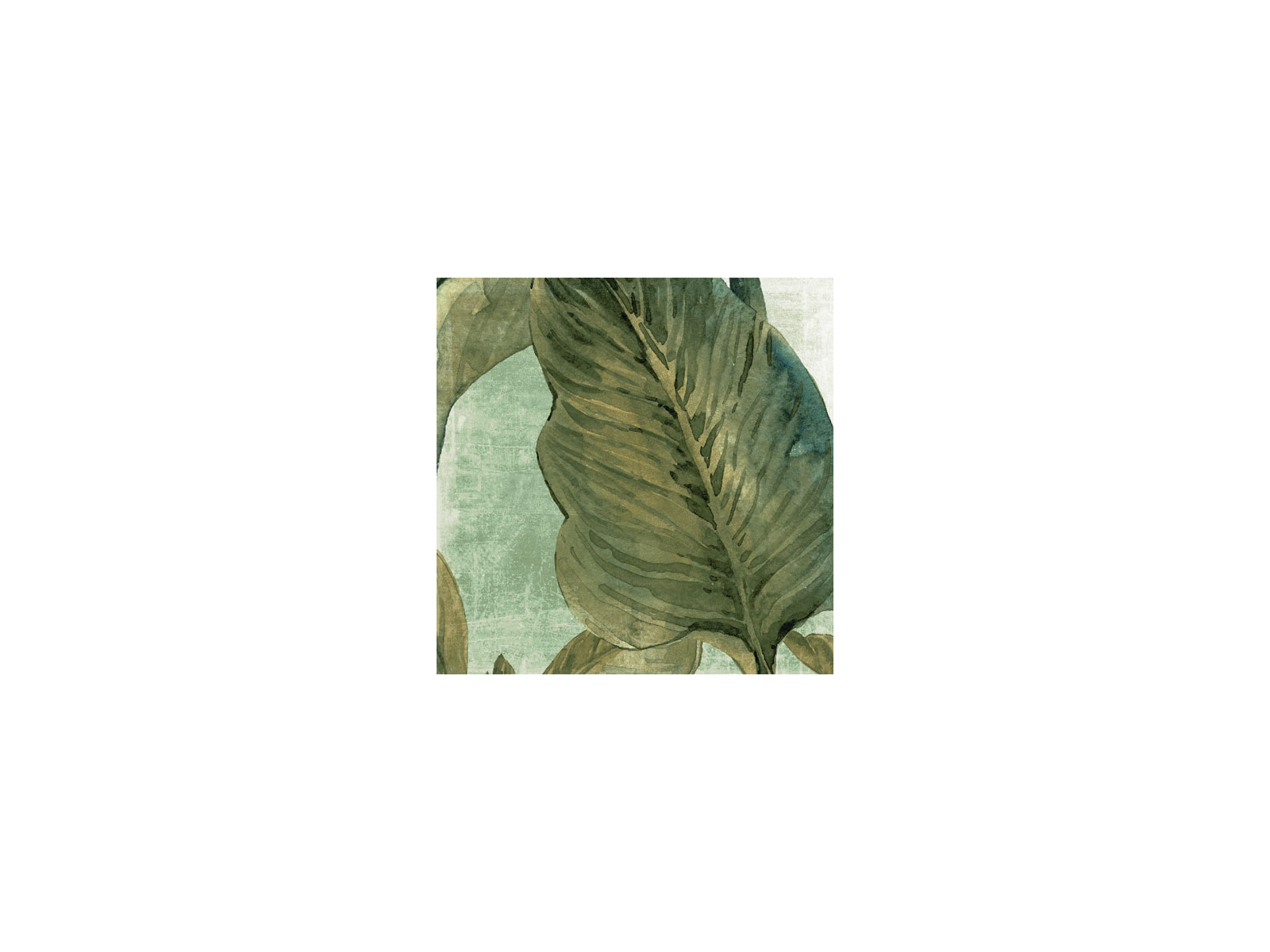 Botanic Decor 20X20