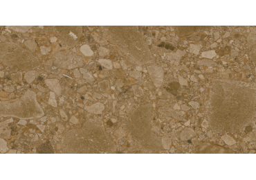 Brown-R Wash 60X120