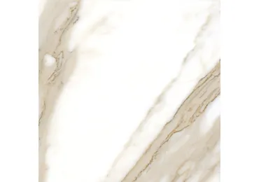 Calacatta  Nplus 120X120