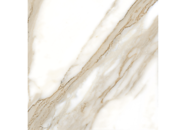 Calacatta  Rec 120X120