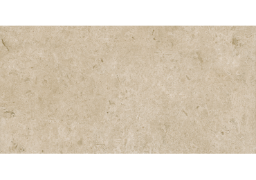 Caracter Greige  Struktura Mat  60X120