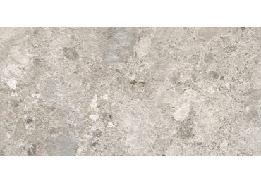 Caracter Mix Gris Mat  30X60