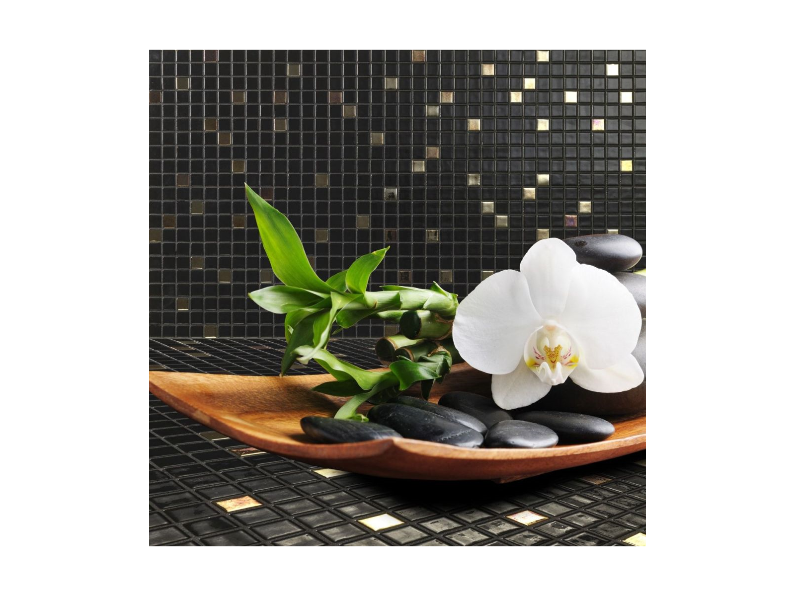 Cocktail Eclipse 2,5 2,5 31,2X49,5