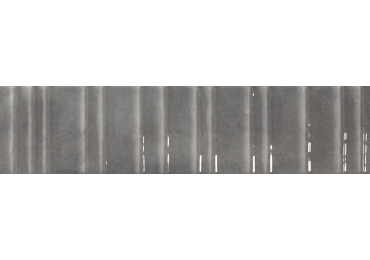 Concept Grey Brillo 6X25