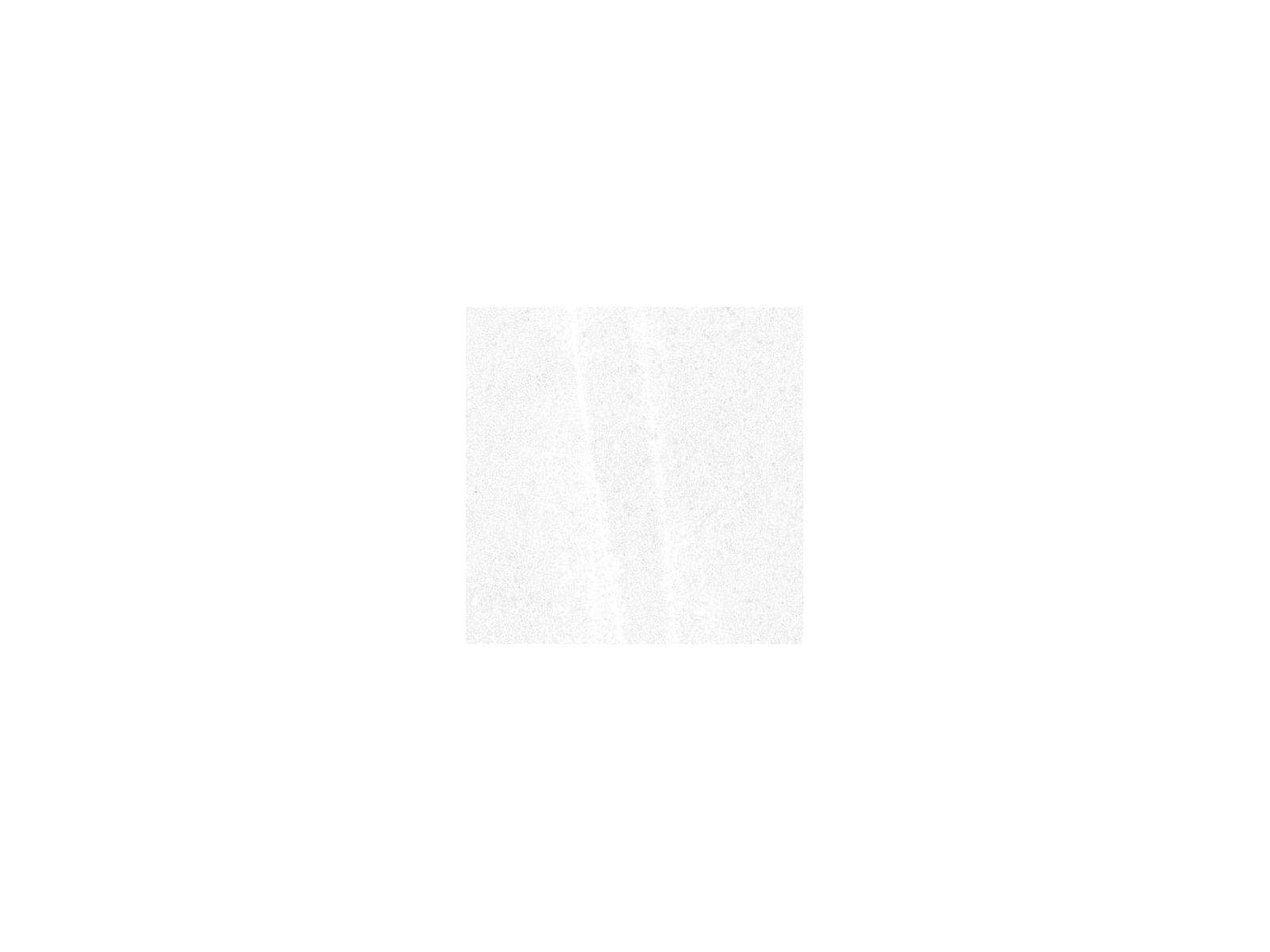 Corneille-R Blanco 15x15