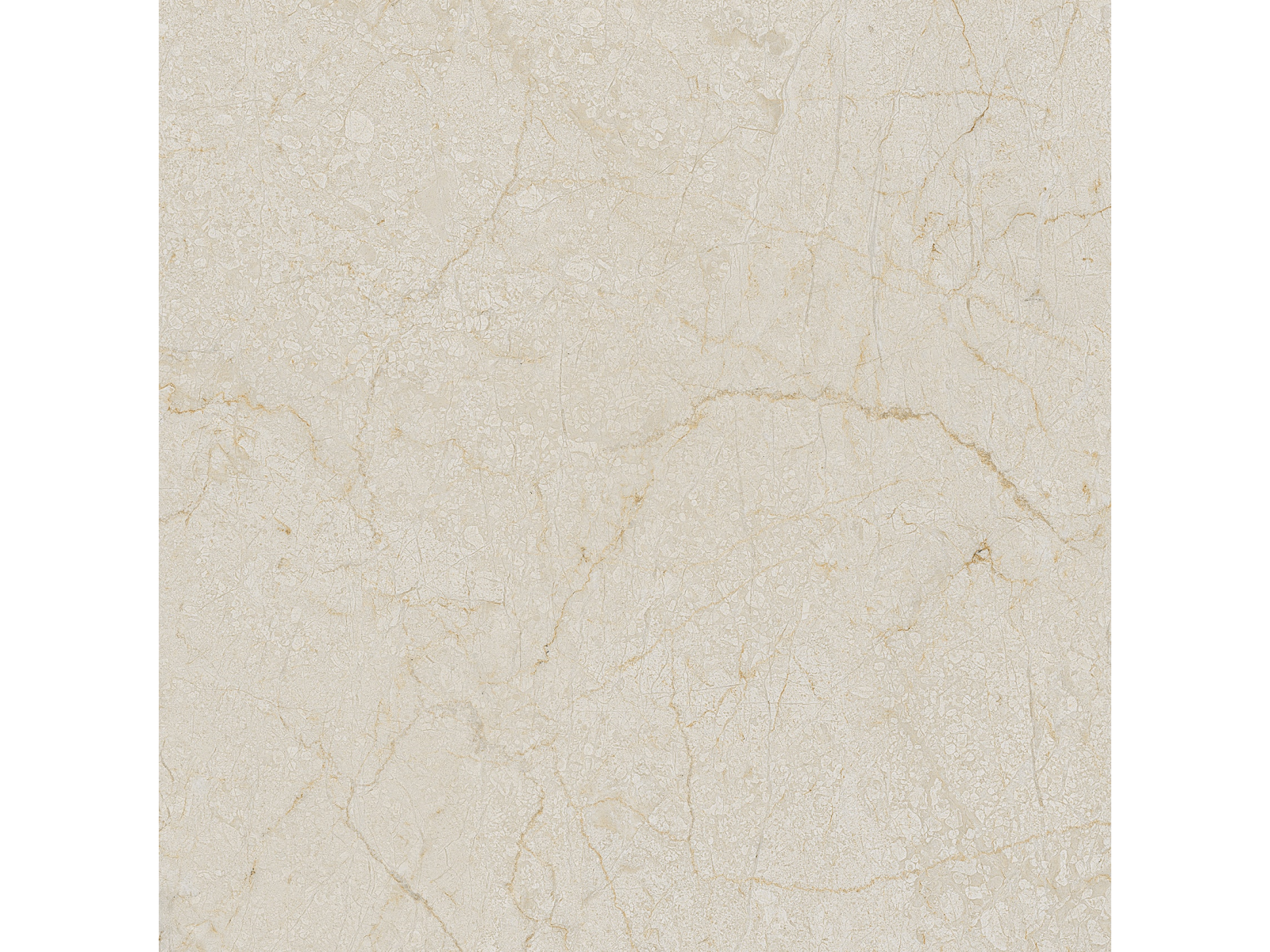 Cream Dune   60X60