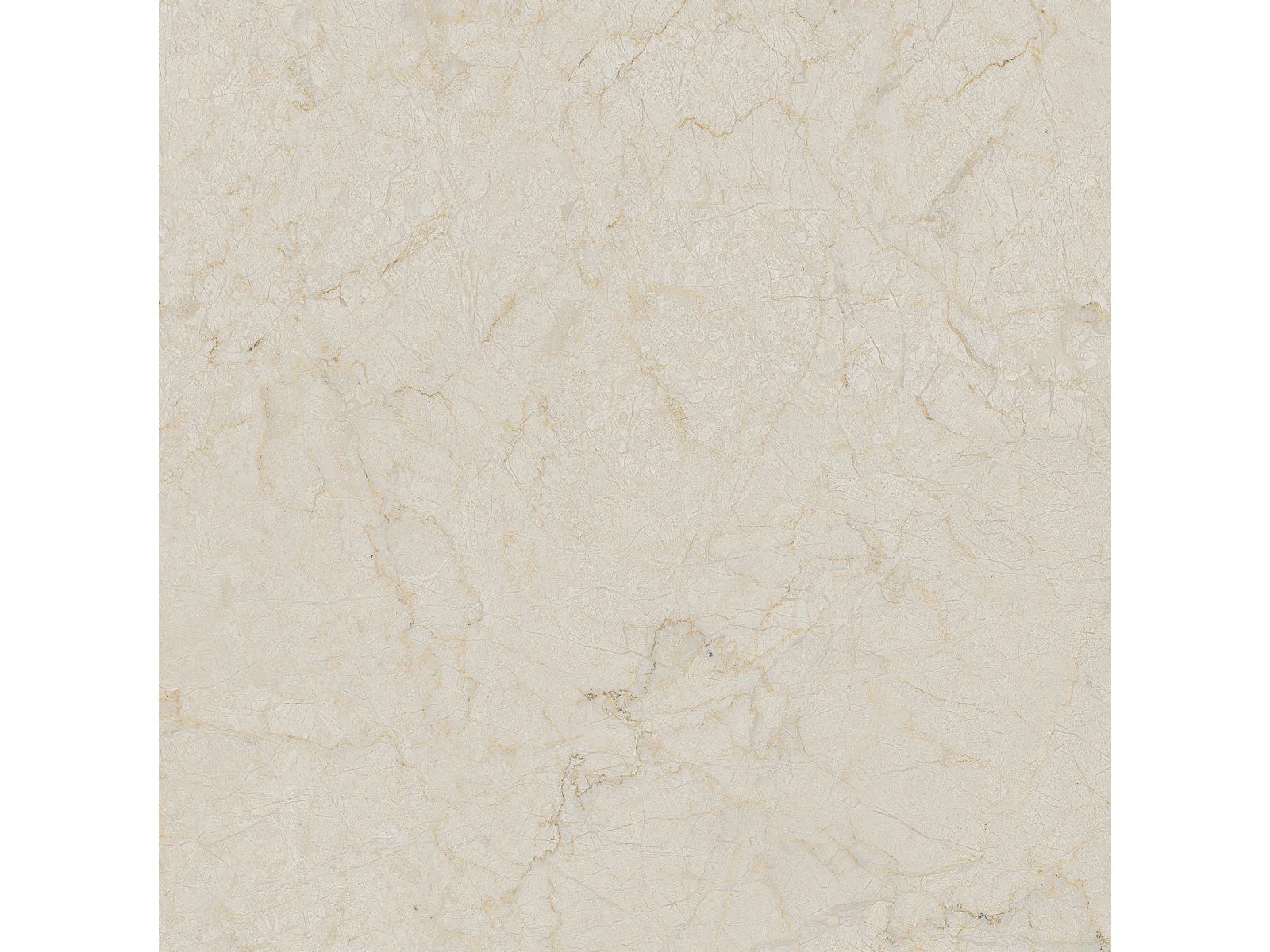 Cream Dune   60X60