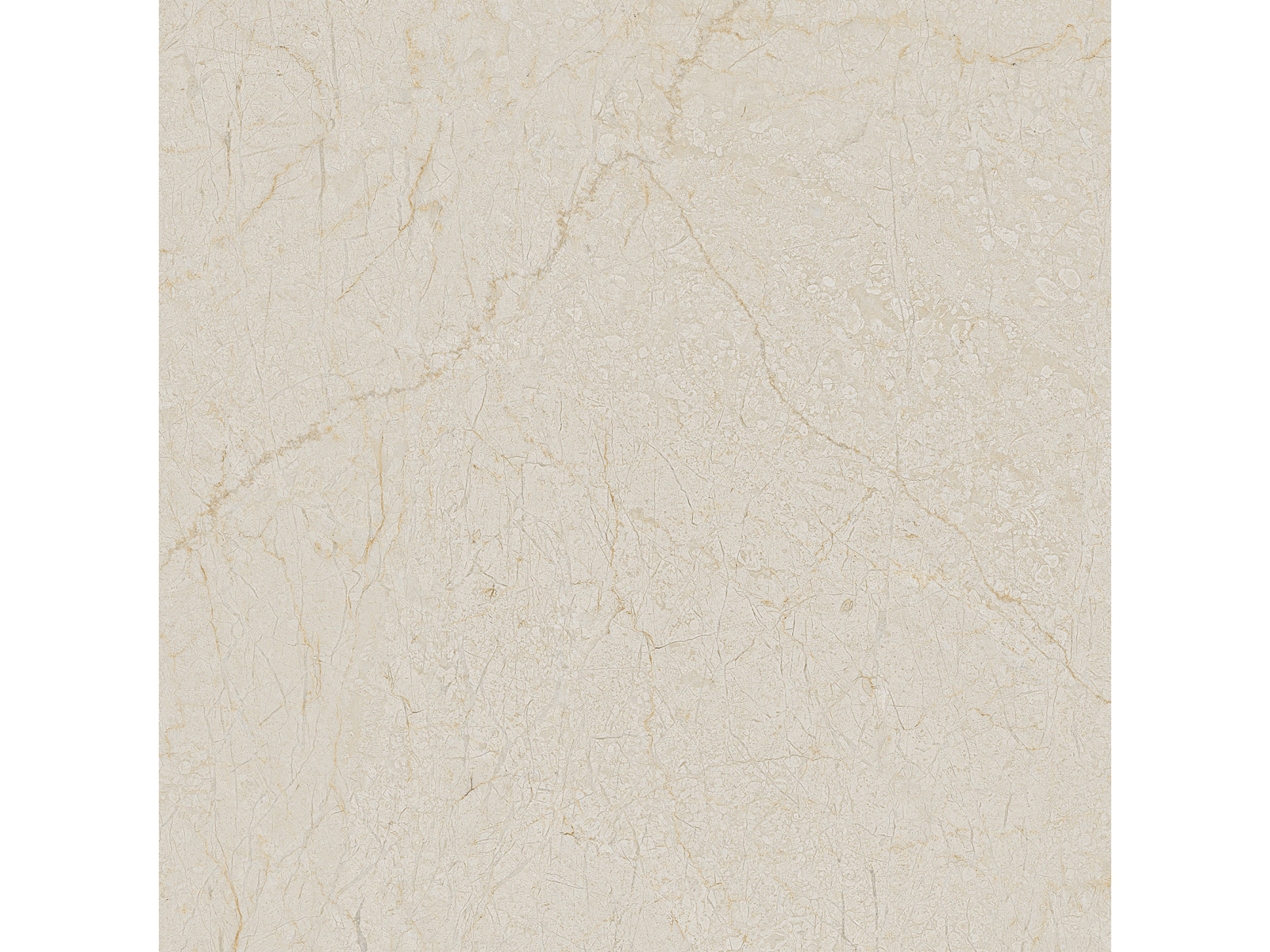 Cream Dune   60X60