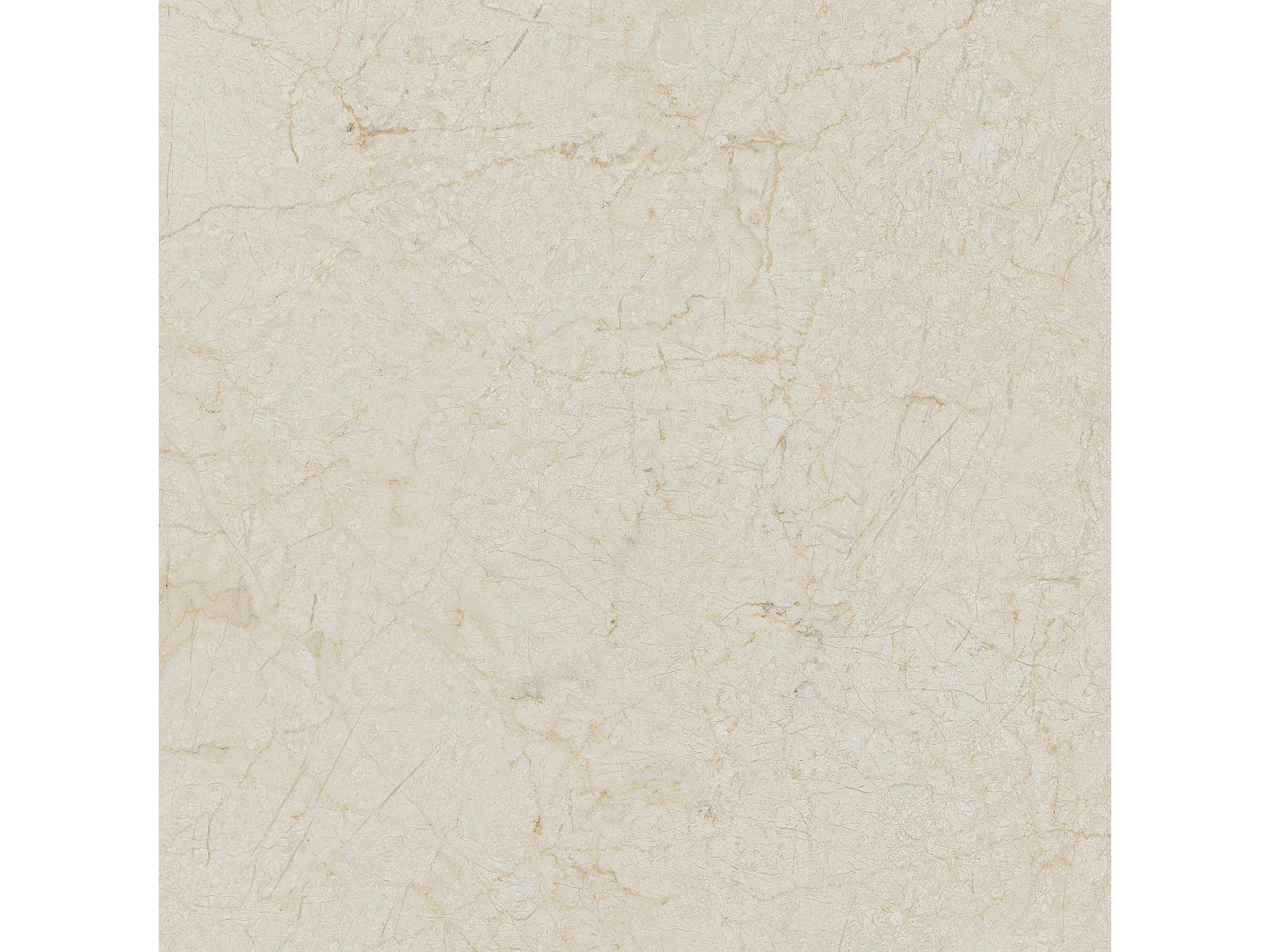 Cream-R Dune   80X80