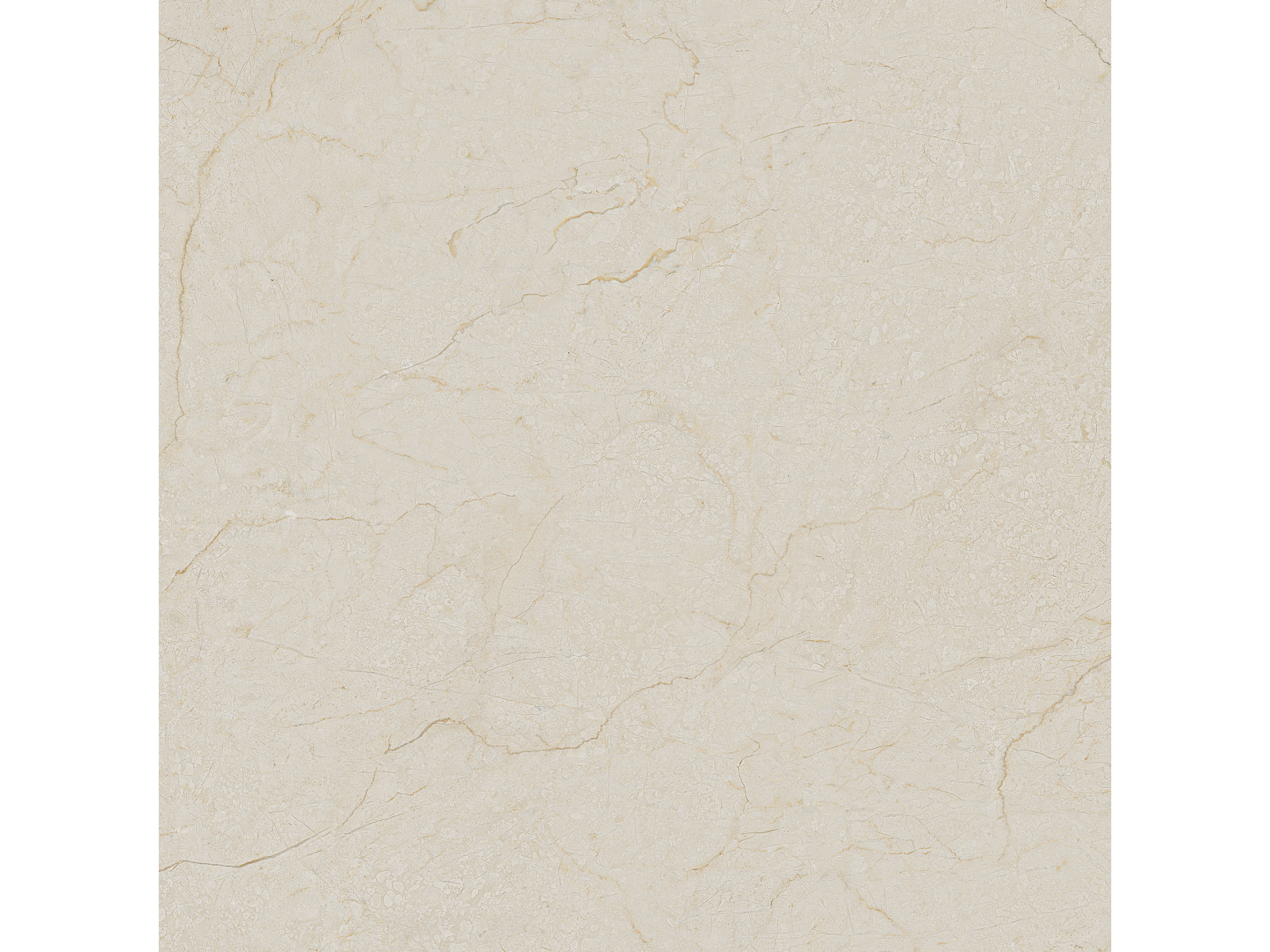 Cream-R Dune   80X80