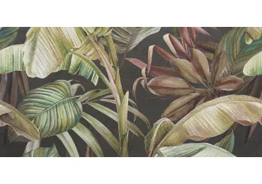 Decorado Palm  60X120