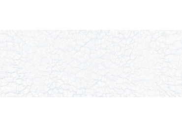 Elements White Crack Glossy 44,6x119,3