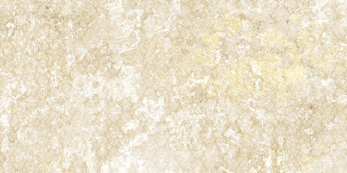 Emotion Beige Natural 49,8x99,6