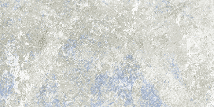 Emotion Grey Natural 49,8x99,6