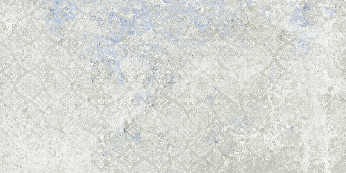 Emotion Grey Natural 49,8x99,6
