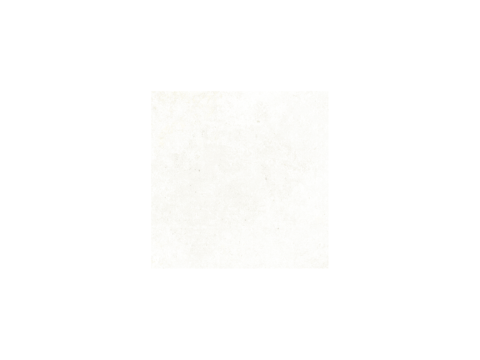 Emotion White Natural 59,6x59,6