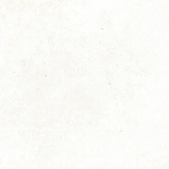 Emotion White Natural 59,6x59,6