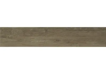 Endor Beige  23X120