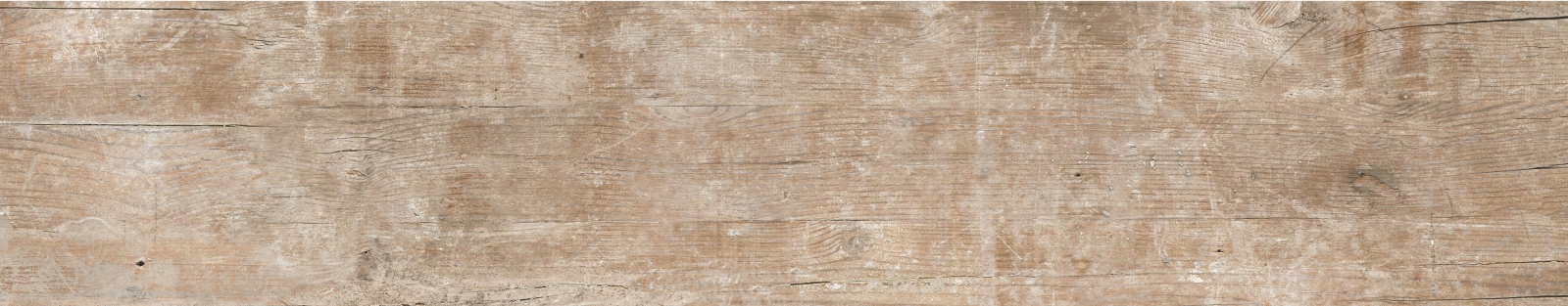 Endor Moss  23X120