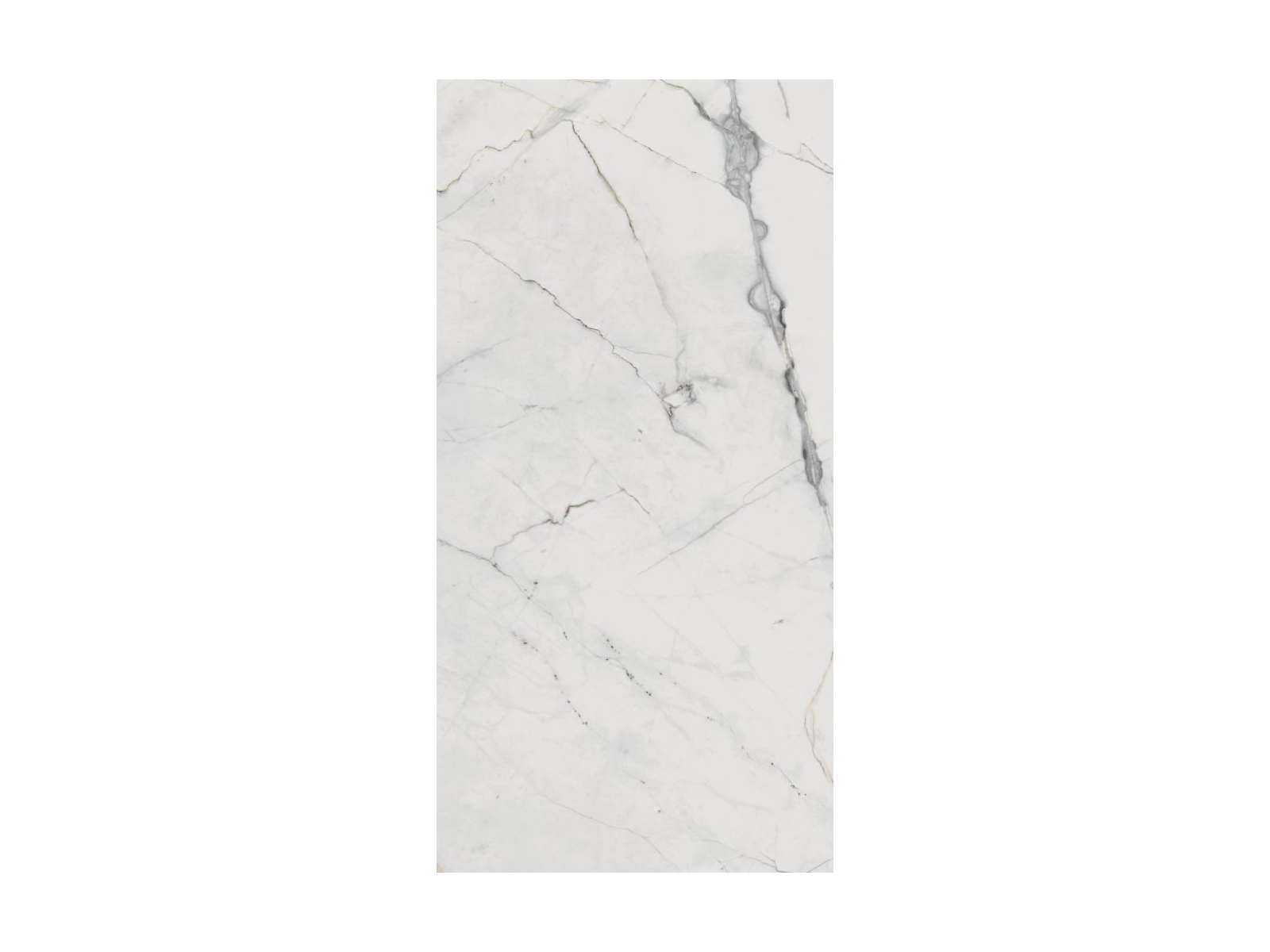 Erdek-R 60x120