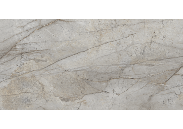 Essence Grey  Nplus 60X120