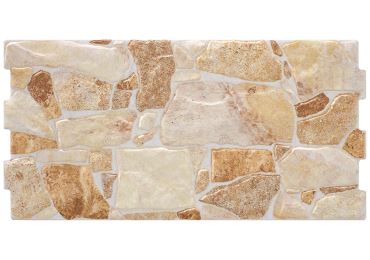 Finlay Beige  25X50
