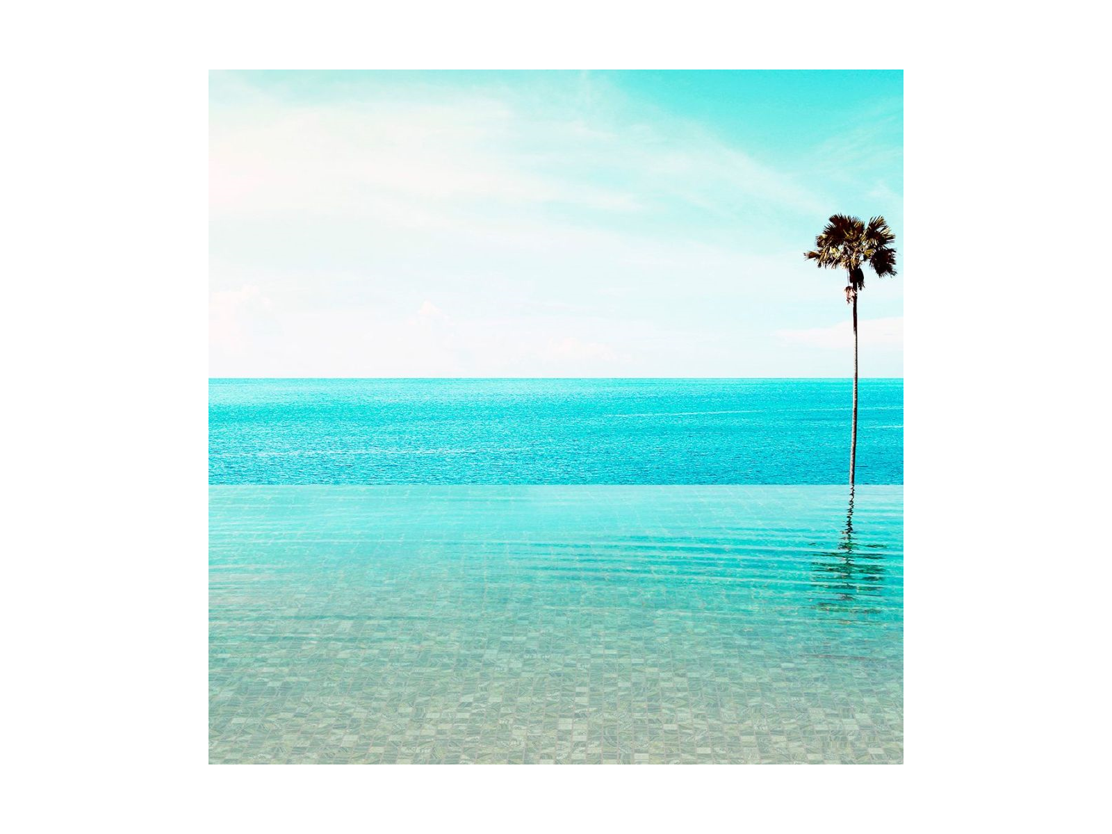 Gemma Lace 2,5 31,2X49,5