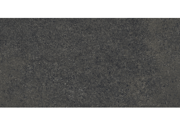 Geneve Sombre 30X60