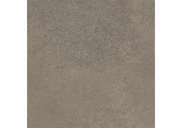 Geneve Terre 60X60