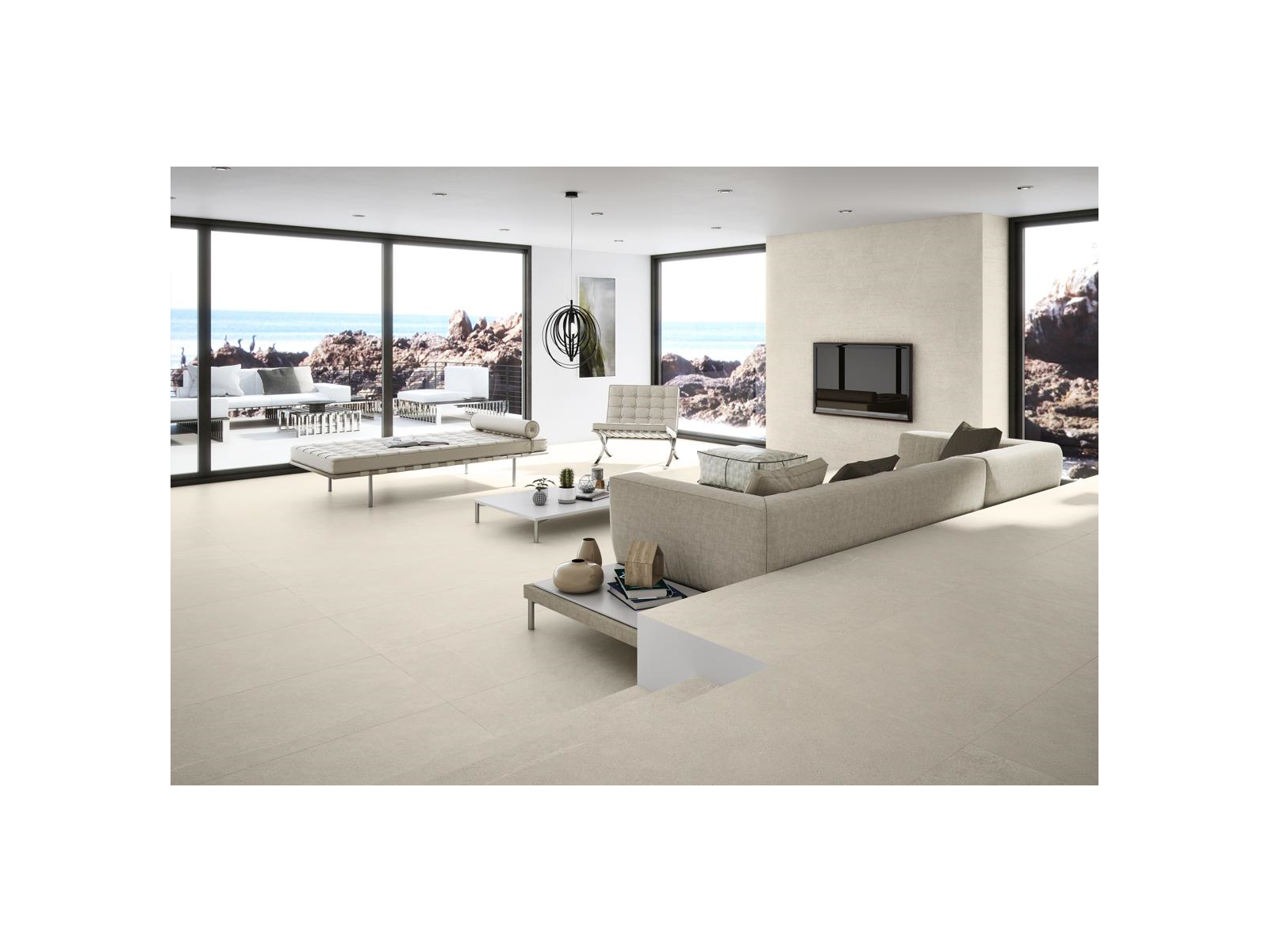 Hardy Tortora 60X60