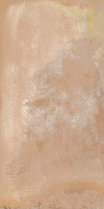 Hutton Orange Natural 49,8x99,6