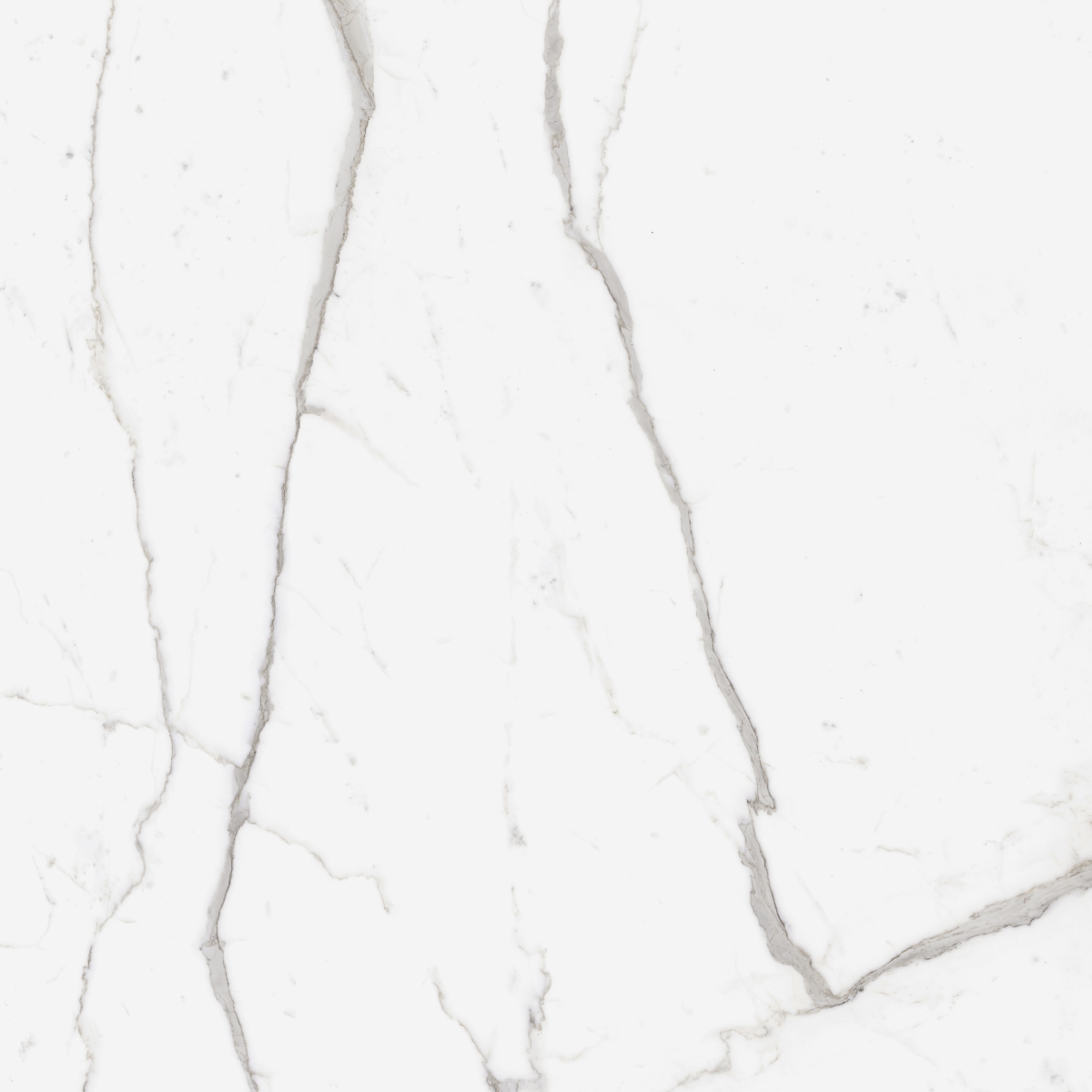 Incanto Statuario Venato Glossy Rt 120X120
