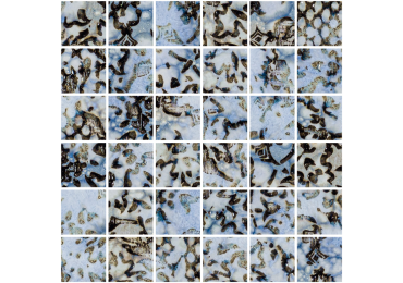 Inedita Blue Nat. Mos. 29,8x29,8