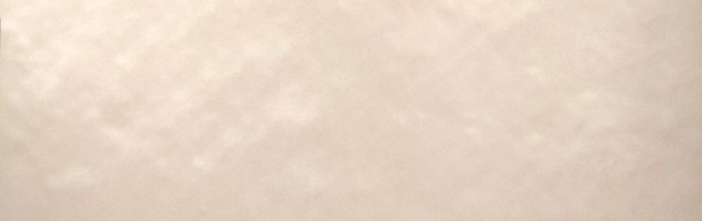 Iris Ivory 30x90