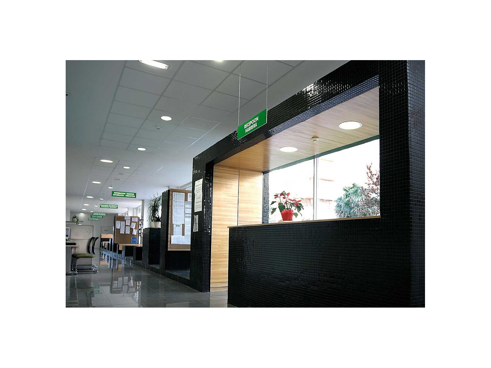 Lisa 2539-B 2,5 31,2X49,5