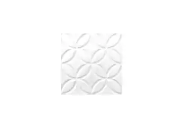 Liso Botanical Blanco Z 15 X 15