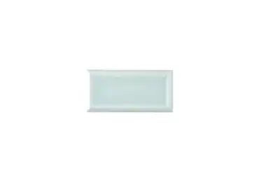 Liso Framed Fern 7,3 X 14,8