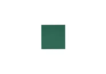 Liso Rimini Green 10 X 10