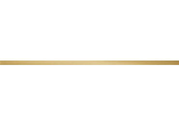 Listela  Steel Brass Pololesk 2,3X89,8