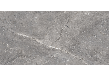 Lord Gris  Nplus 60X120